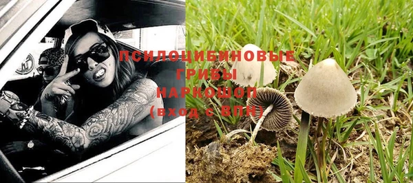 стаф Россошь