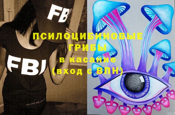 хмурый Алексин