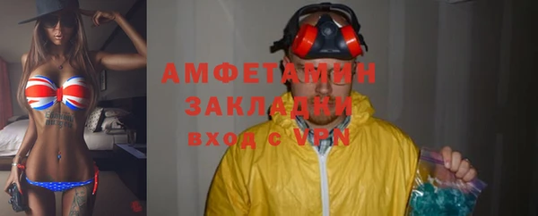 хмурый Алексин