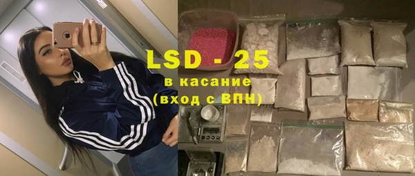 хмурый Алексин